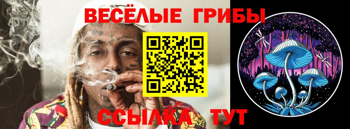 Псилоцибиновые грибы Psilocybe  Вход с VPN  Псилоцибиновые грибы ЛСД  Мурино 